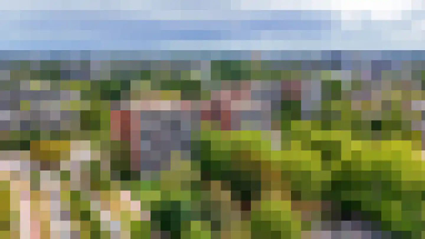 Laveibos 179 Zoetermeer thumbnail 28