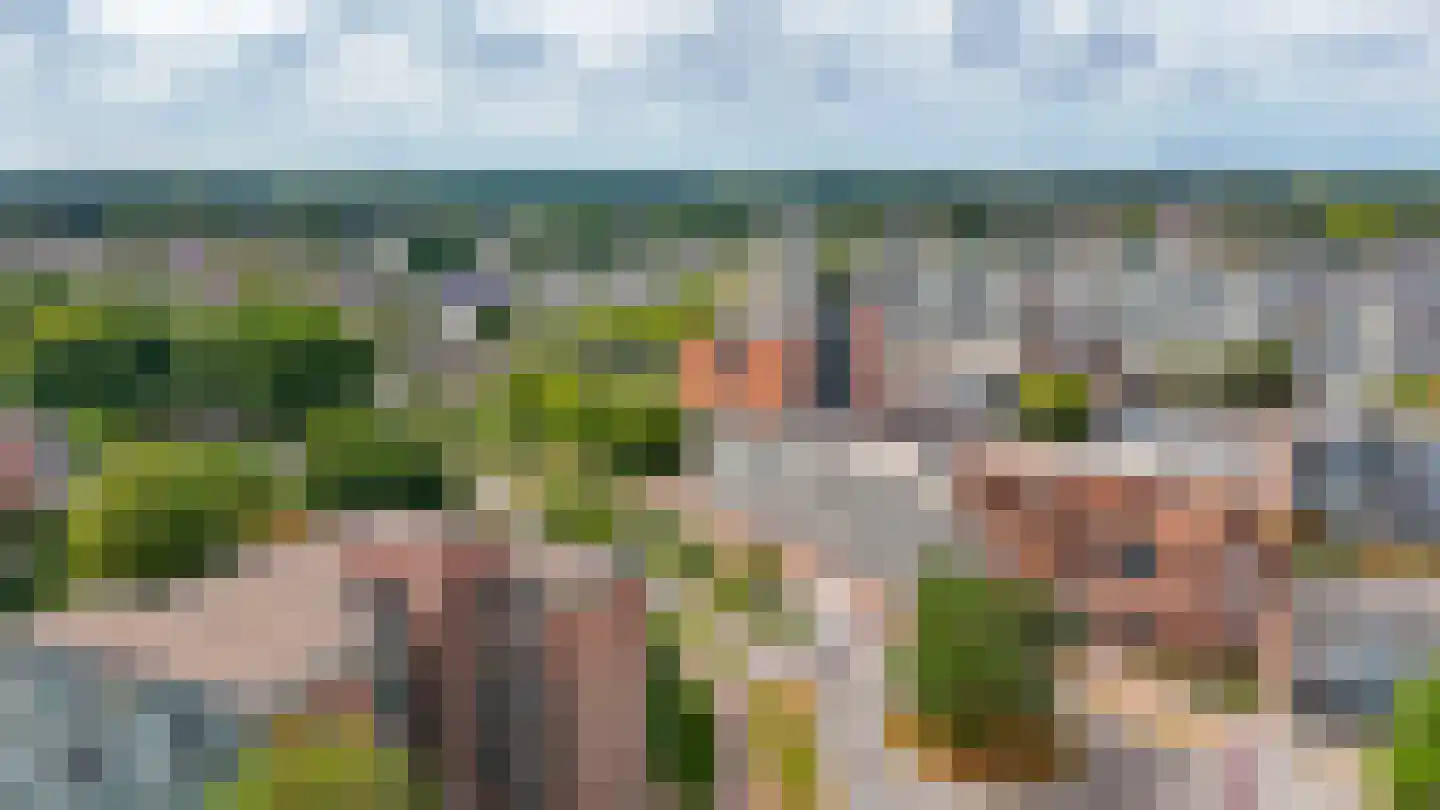 Laveibos 179 Zoetermeer thumbnail 29