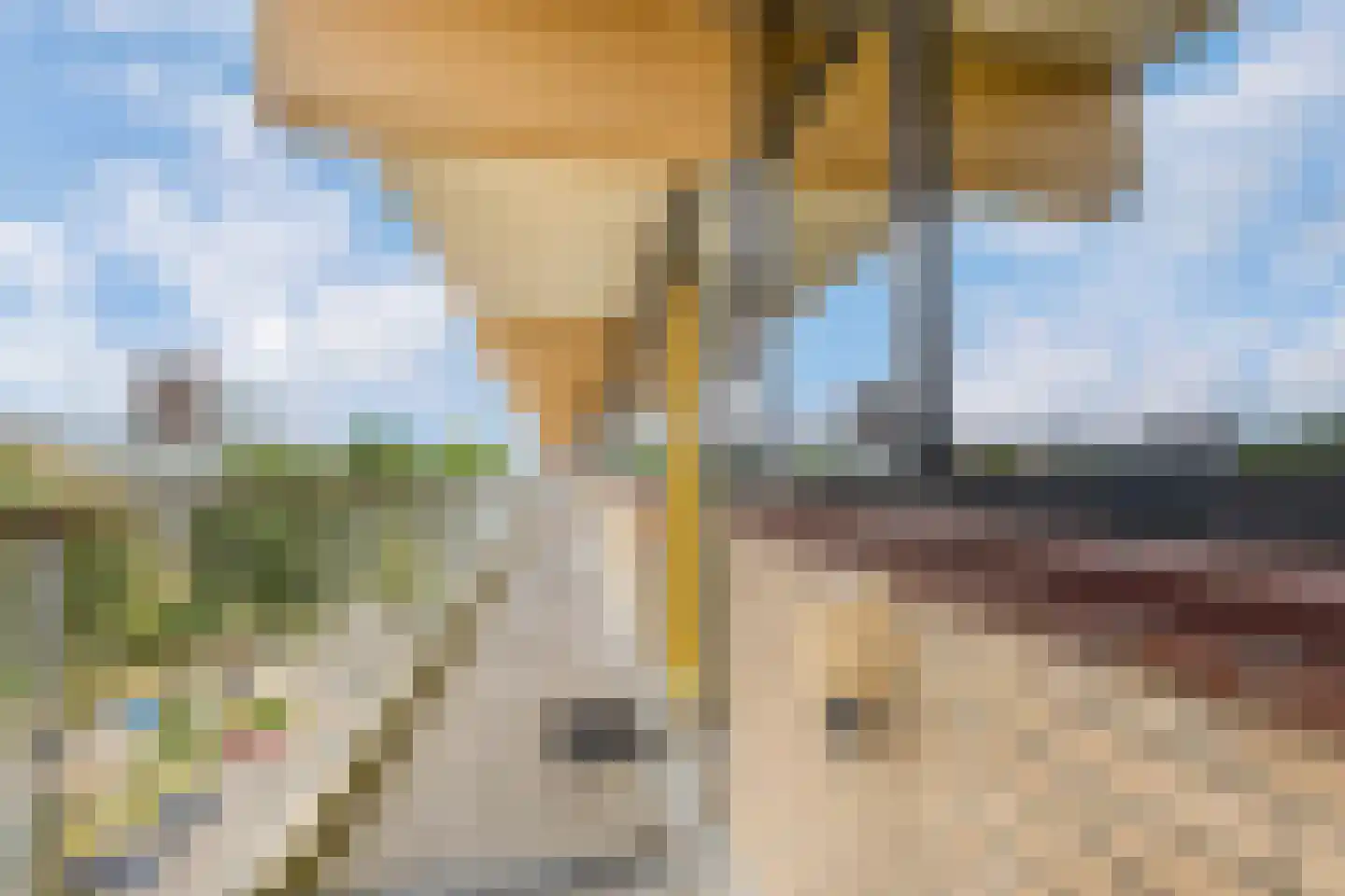 Laveibos 179 Zoetermeer thumbnail 8