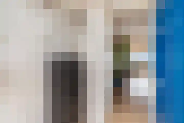 Laveibos 202 Zoetermeer thumbnail 10
