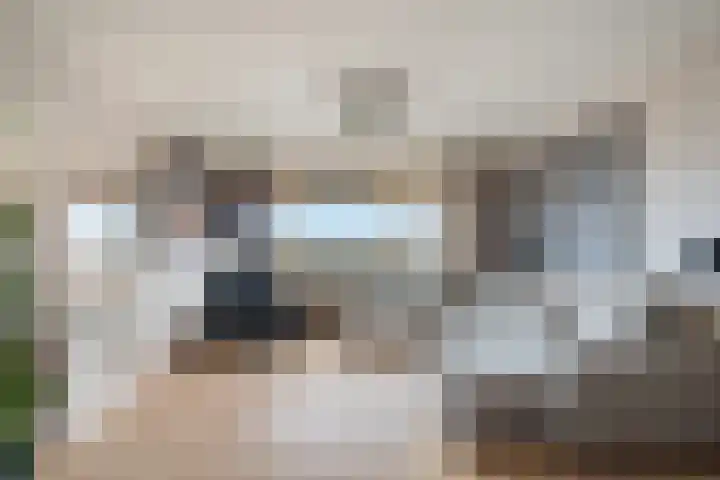 Laveibos 202 Zoetermeer thumbnail 14