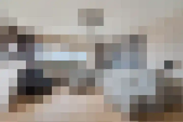 Laveibos 202 Zoetermeer thumbnail 15