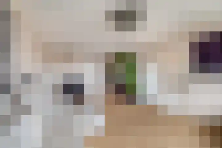 Laveibos 202 Zoetermeer thumbnail 16