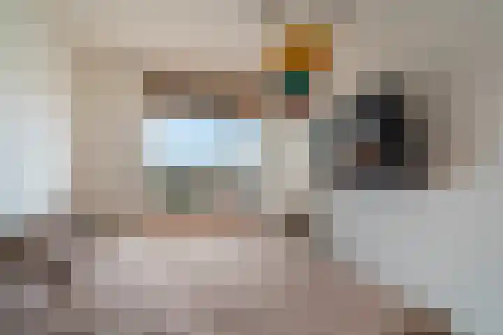 Laveibos 202 Zoetermeer thumbnail 18