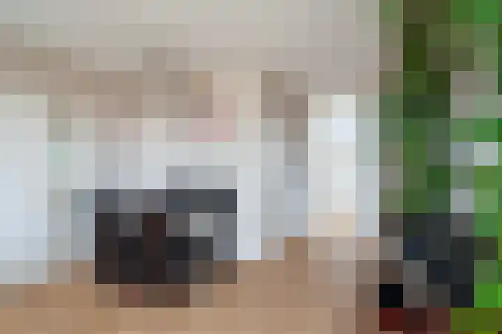 Laveibos 202 Zoetermeer thumbnail 21
