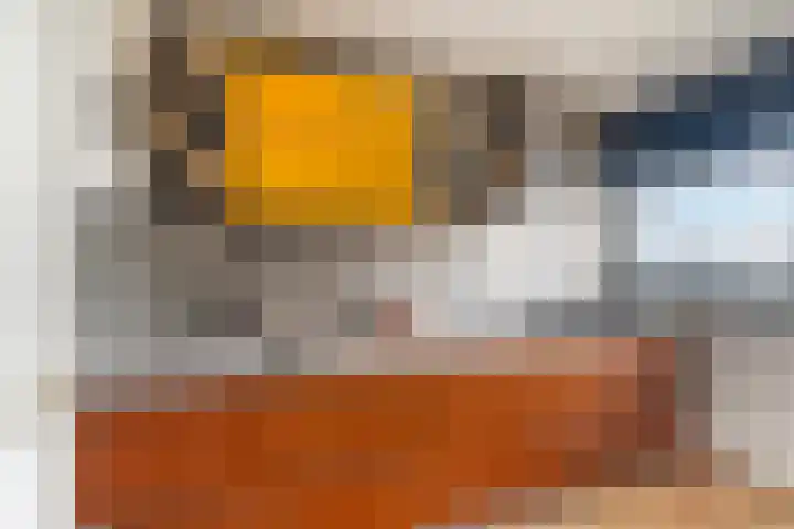 Laveibos 202 Zoetermeer thumbnail 22