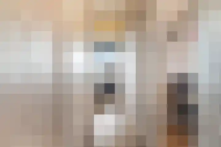 Laveibos 202 Zoetermeer thumbnail 25