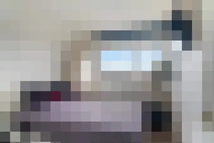Laveibos 202 Zoetermeer thumbnail 26