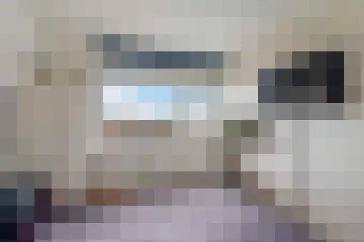 Laveibos 202 Zoetermeer thumbnail 27