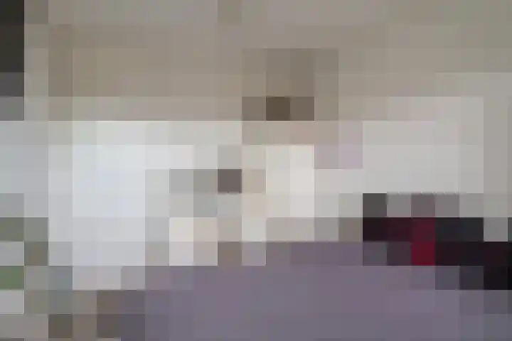 Laveibos 202 Zoetermeer thumbnail 28