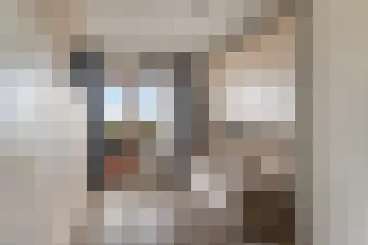 Laveibos 202 Zoetermeer thumbnail 29