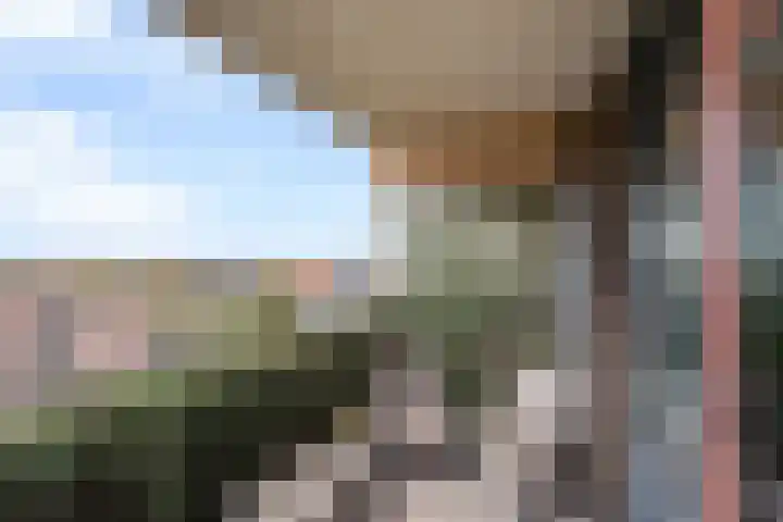 Laveibos 202 Zoetermeer thumbnail 31