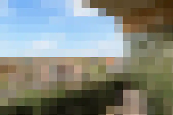 Laveibos 202 Zoetermeer thumbnail 32