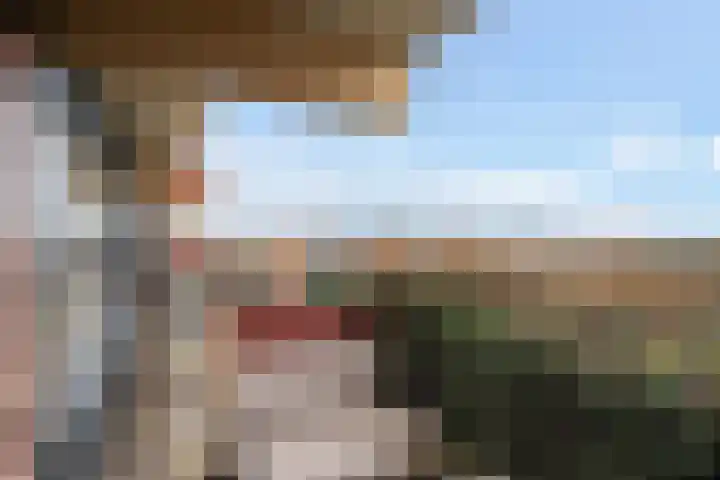 Laveibos 202 Zoetermeer thumbnail 33