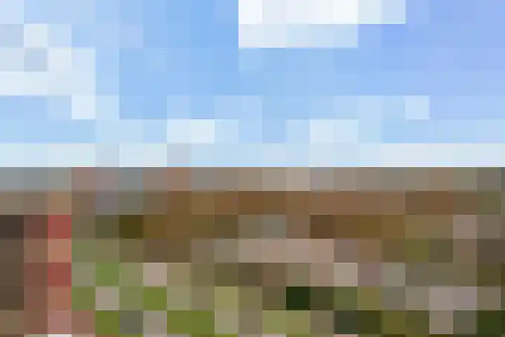 Laveibos 202 Zoetermeer thumbnail 34