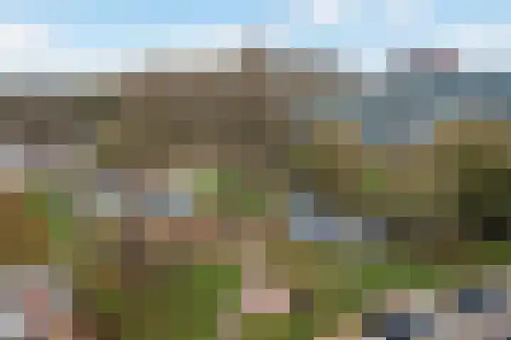 Laveibos 202 Zoetermeer thumbnail 4