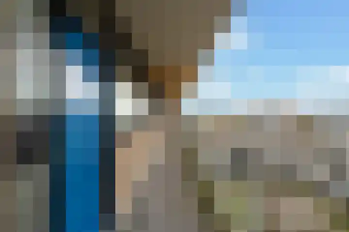 Laveibos 202 Zoetermeer thumbnail 40