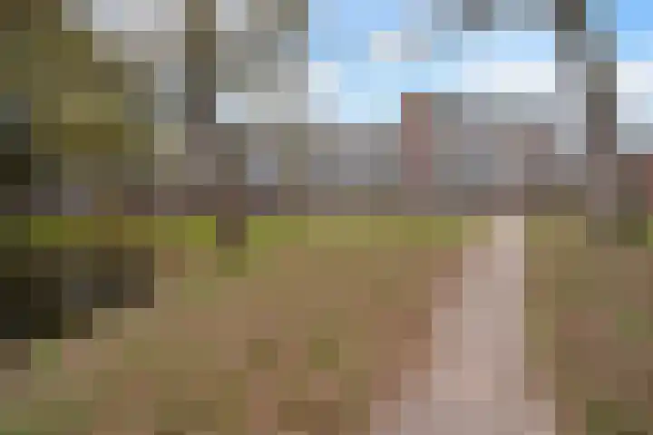 Laveibos 202 Zoetermeer thumbnail 42