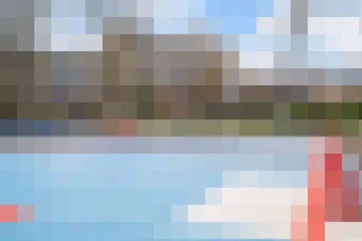 Laveibos 202 Zoetermeer thumbnail 43
