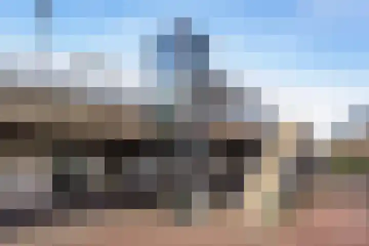 Laveibos 202 Zoetermeer thumbnail 44