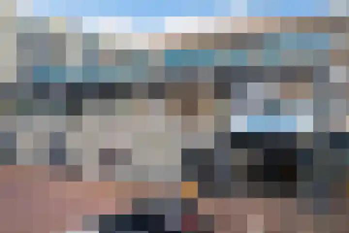 Laveibos 202 Zoetermeer thumbnail 45