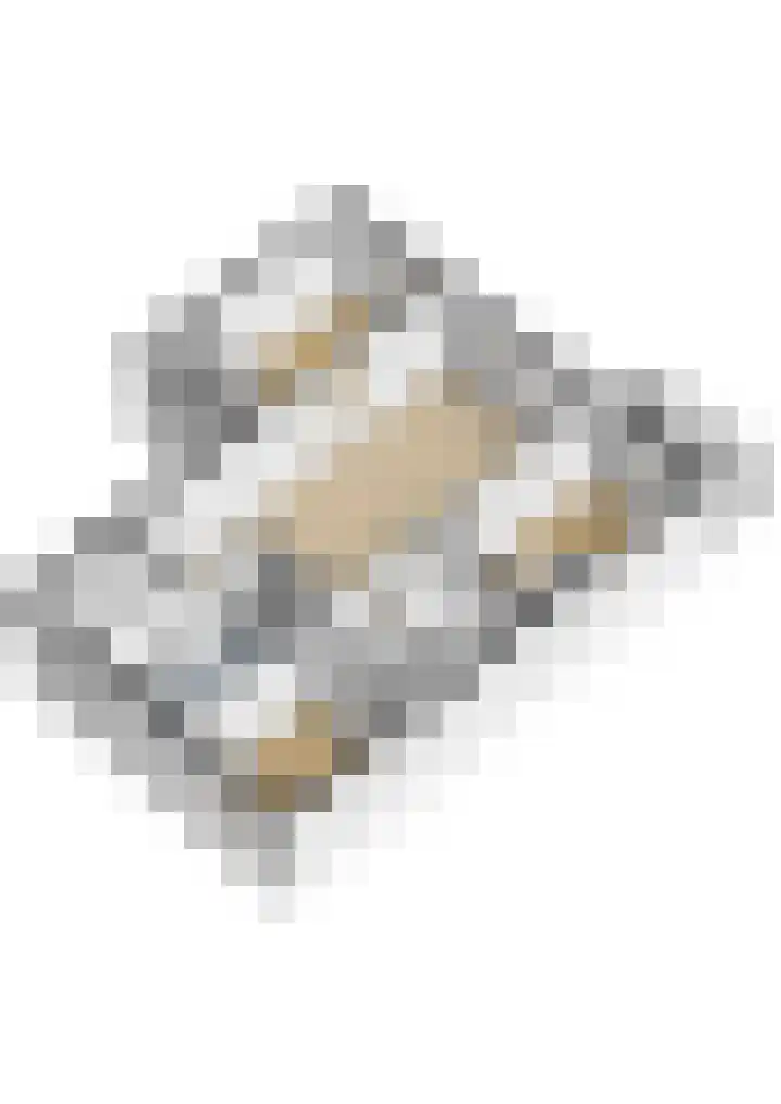 Laveibos 202 Zoetermeer thumbnail 48
