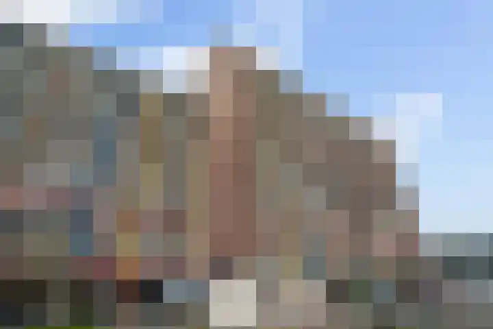 Laveibos 202 Zoetermeer thumbnail 5