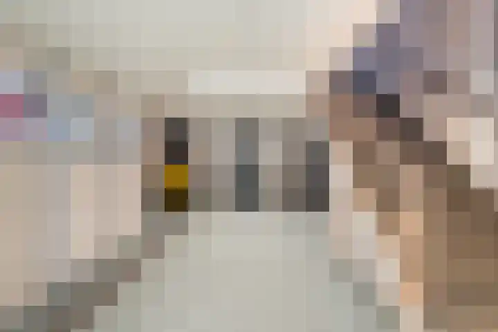 Laveibos 202 Zoetermeer thumbnail 8