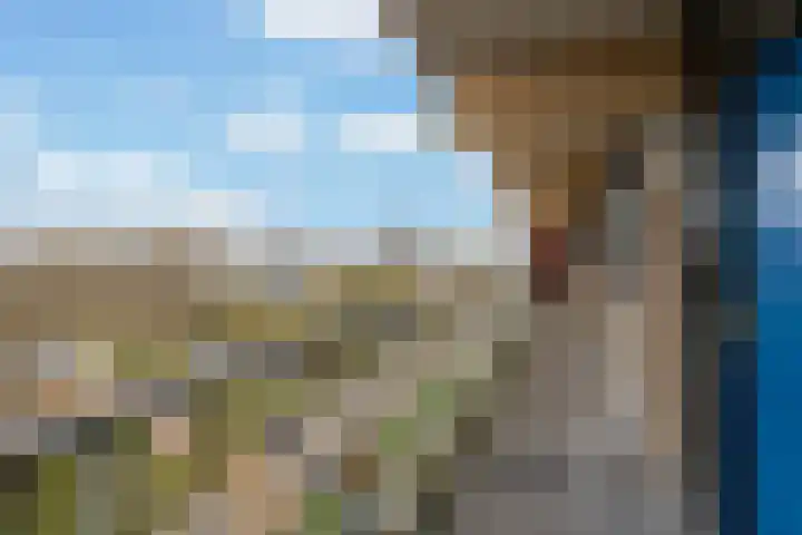 Laveibos 202 Zoetermeer thumbnail 9