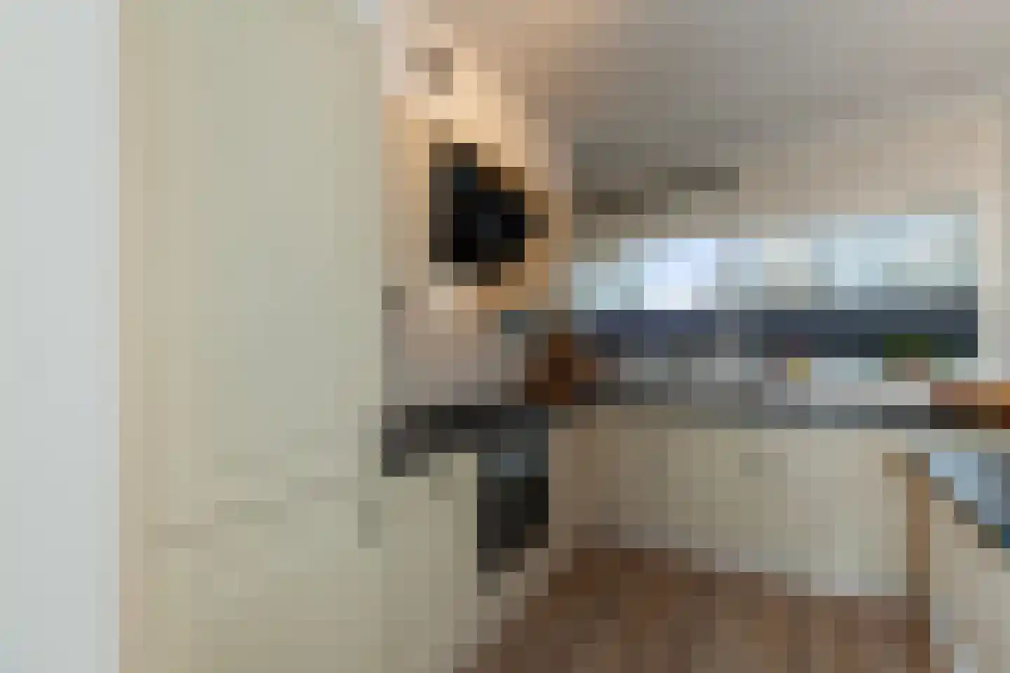 Laveibos 32 Zoetermeer thumbnail 13
