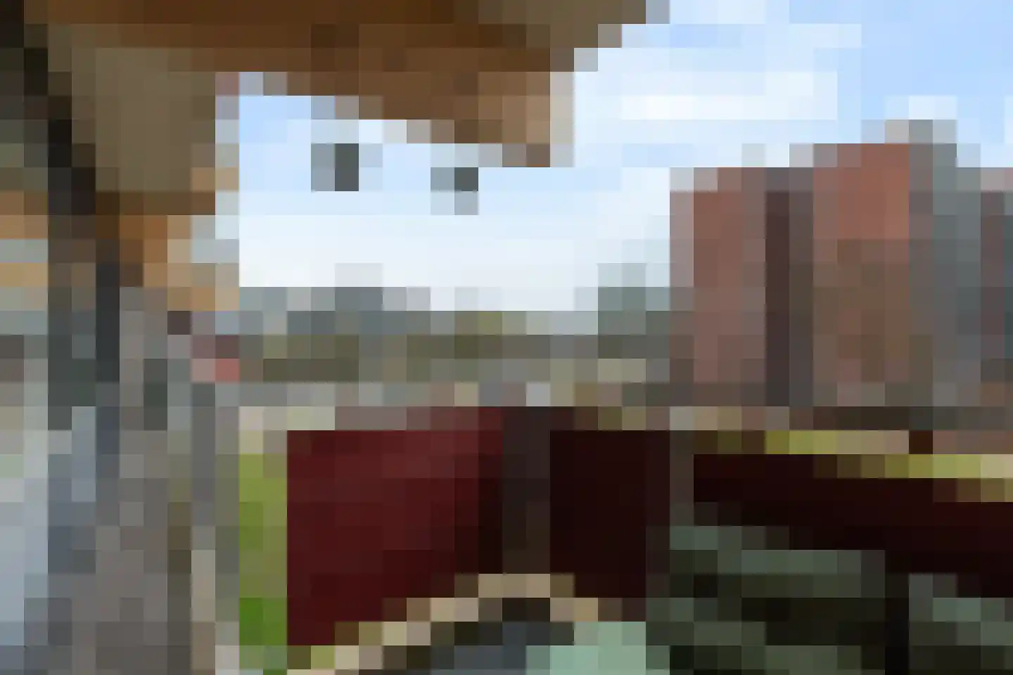 Laveibos 32 Zoetermeer thumbnail 16