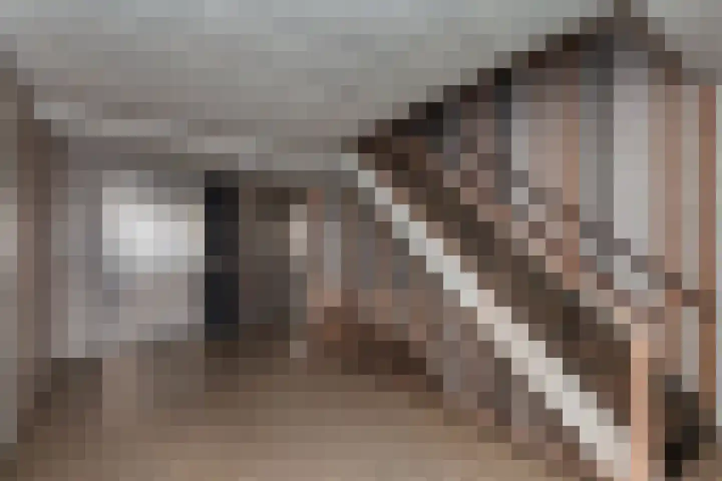Laveibos 32 Zoetermeer thumbnail 32