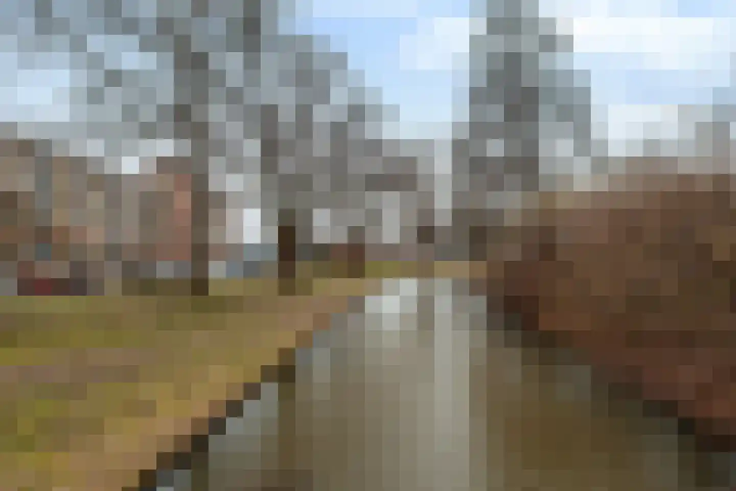 Laveibos 32 Zoetermeer thumbnail 35