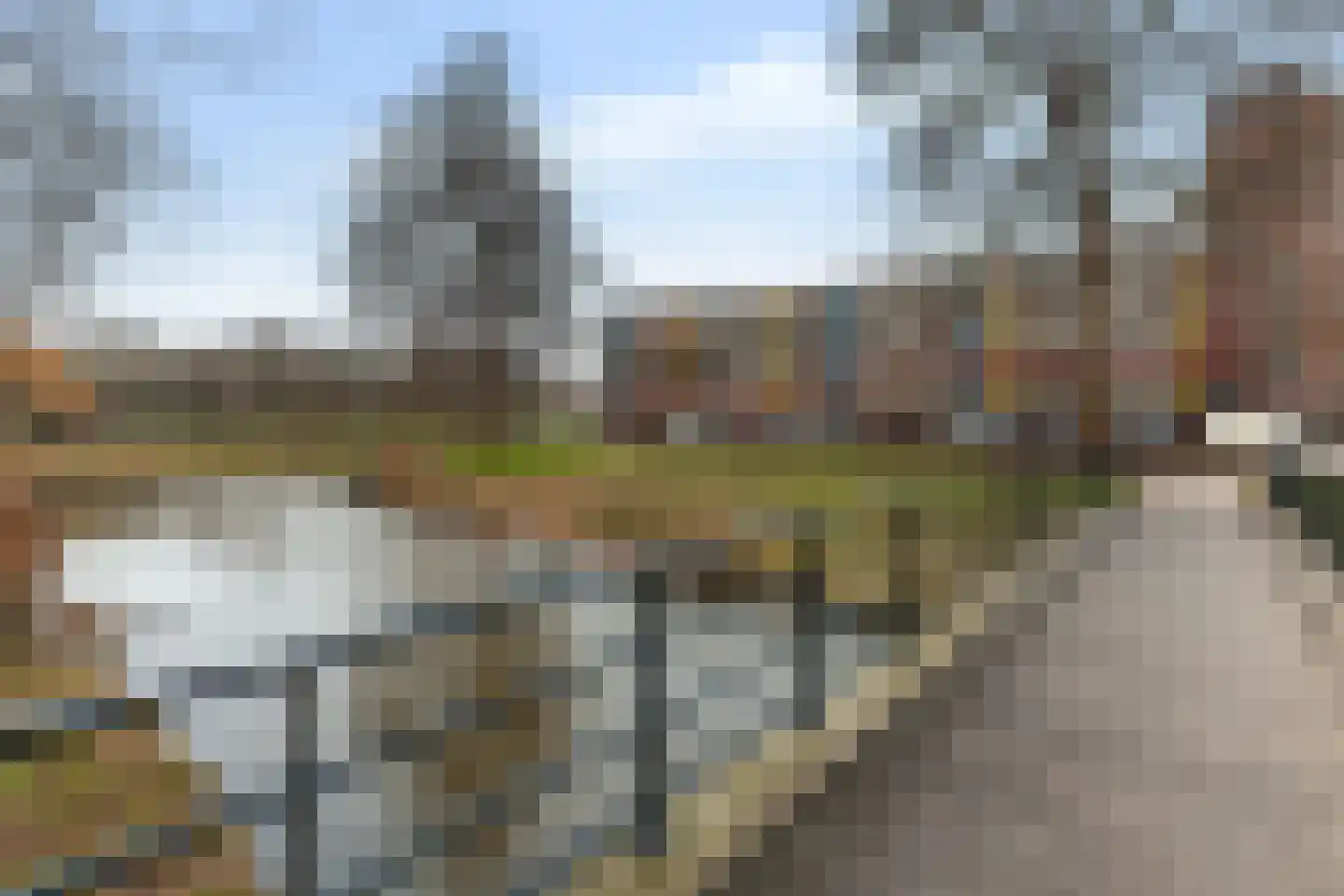 Laveibos 32 Zoetermeer thumbnail 36