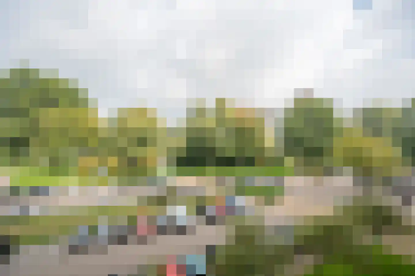 Laveibos 53 Zoetermeer thumbnail 24