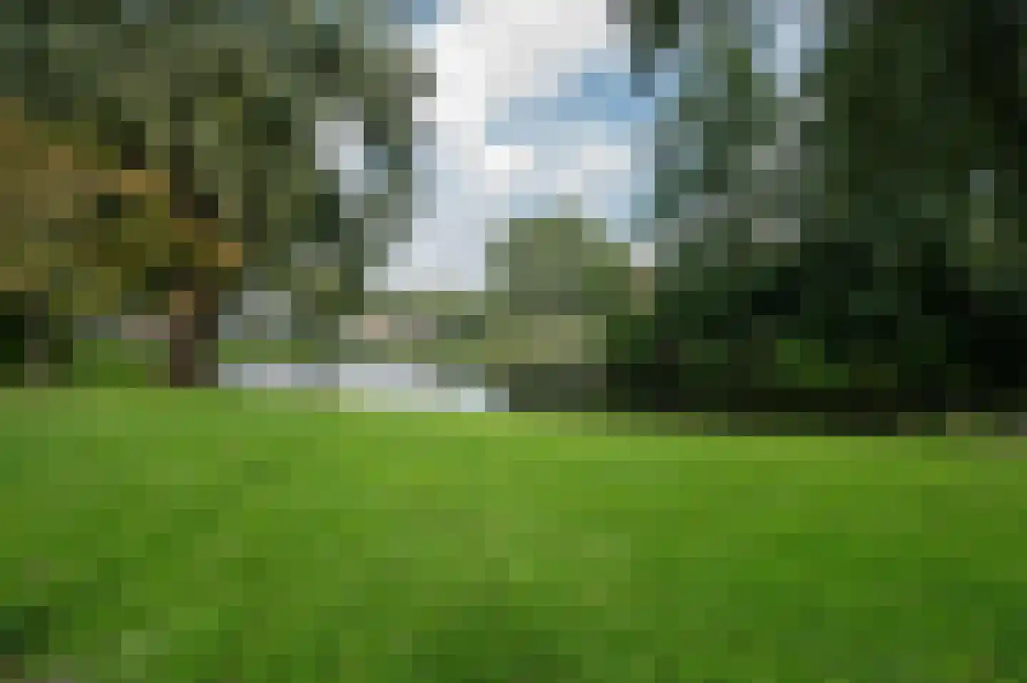 Laveibos 53 Zoetermeer thumbnail 26