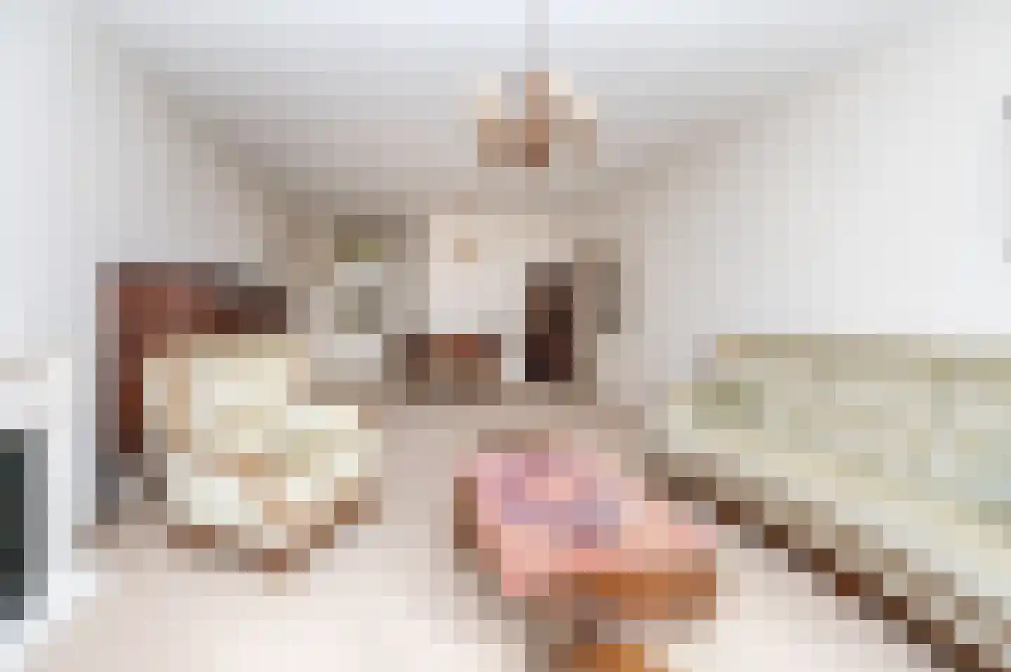Laveibos 53 Zoetermeer thumbnail 5