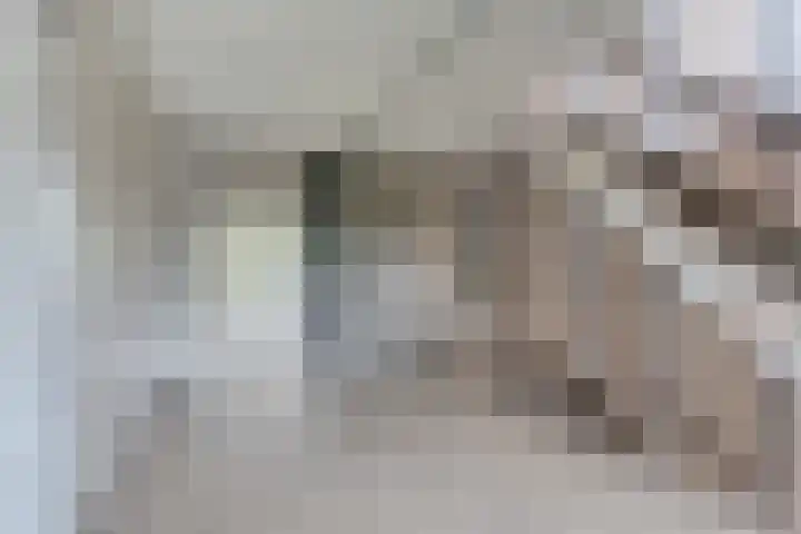 Laveibos 55 Zoetermeer thumbnail 10