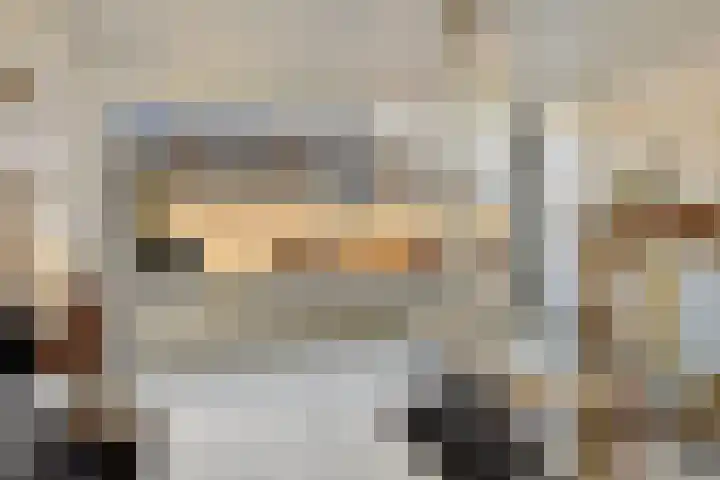 Laveibos 55 Zoetermeer thumbnail 12