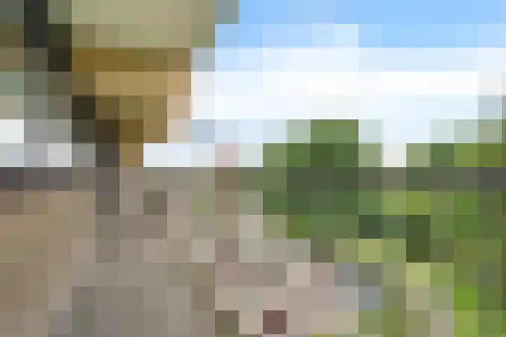 Laveibos 55 Zoetermeer thumbnail 12