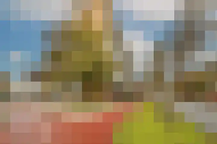 Laveibos 55 Zoetermeer thumbnail 15