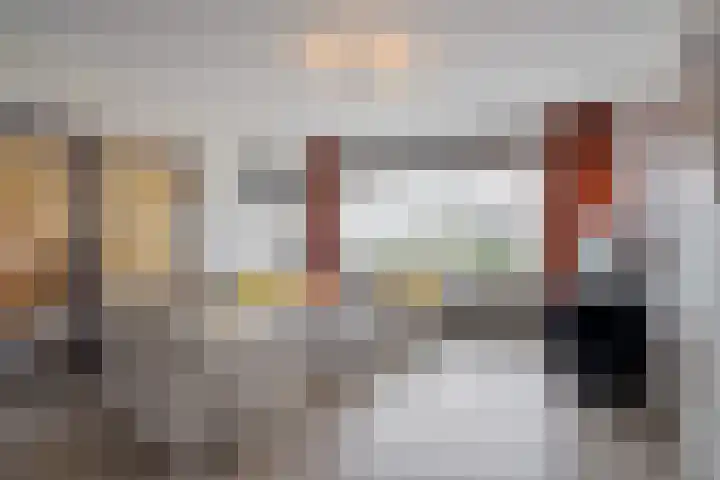 Laveibos 55 Zoetermeer thumbnail 16