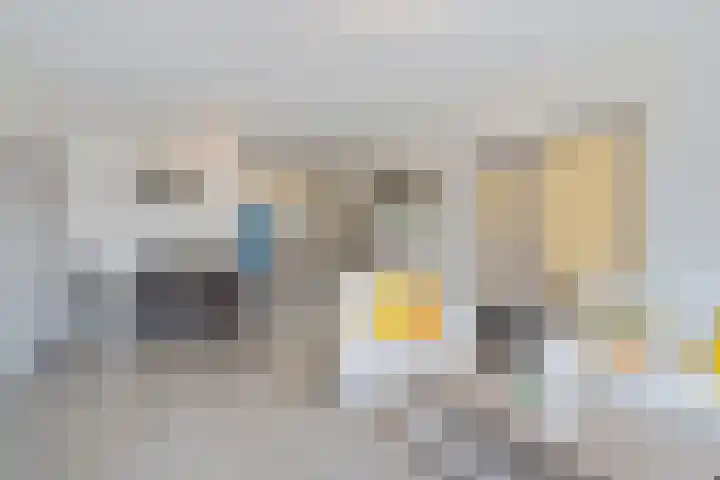 Laveibos 55 Zoetermeer thumbnail 18