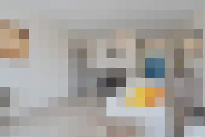 Laveibos 55 Zoetermeer thumbnail 19