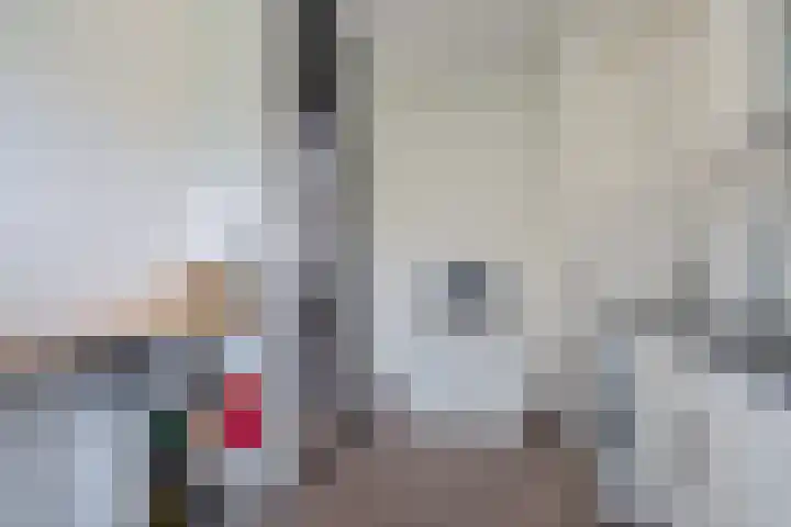 Laveibos 55 Zoetermeer thumbnail 22