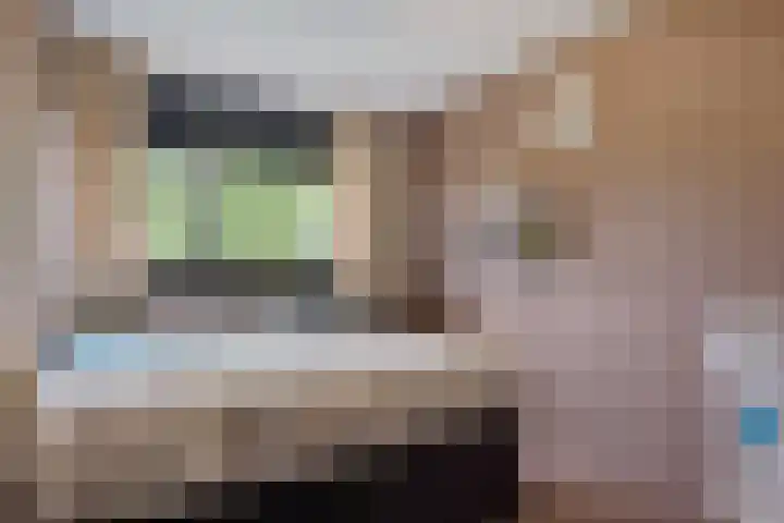 Laveibos 55 Zoetermeer thumbnail 24