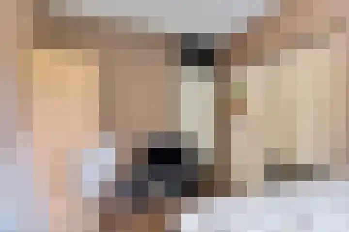 Laveibos 55 Zoetermeer thumbnail 25