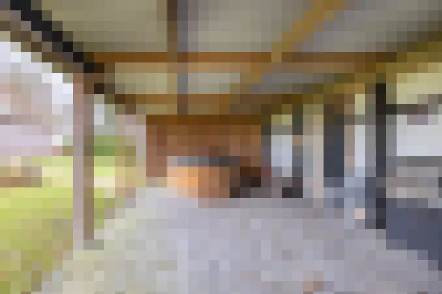 Laveibos 55 Zoetermeer thumbnail 28