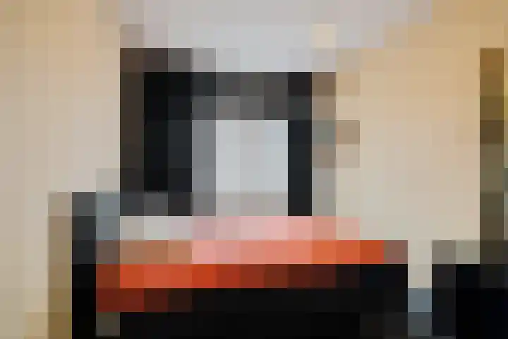 Laveibos 55 Zoetermeer thumbnail 28
