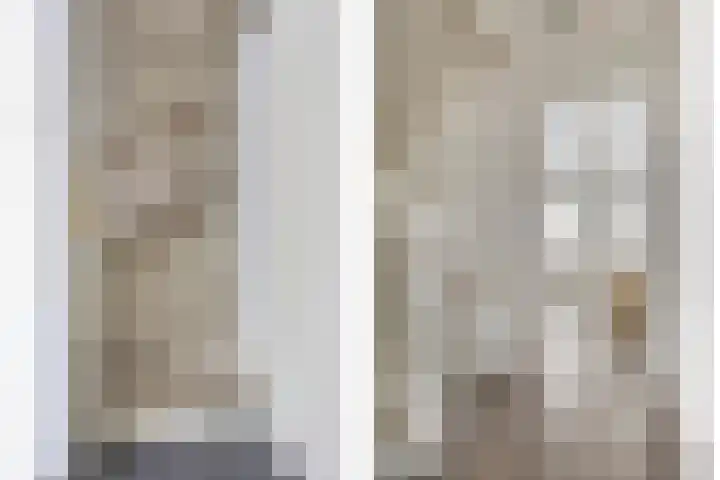 Laveibos 55 Zoetermeer thumbnail 35